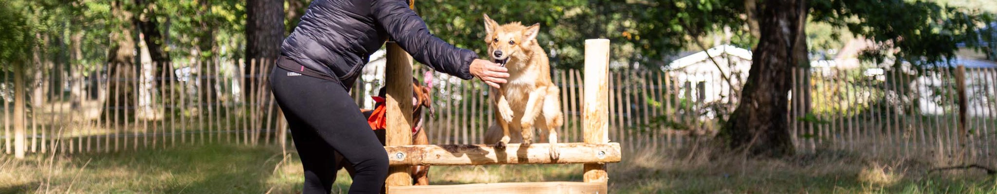 September is dog month at TopParken