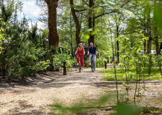 Residence Lage Vuursche Vakantiegasten Fietsen