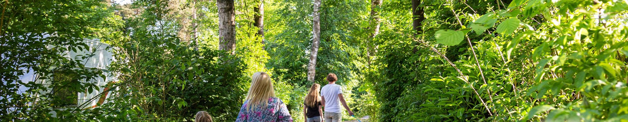 Resort Veluwe holiday guests walk in forest