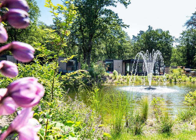 Recreatiepark Beekbergen Veluwe Hoeve 4 Personen 160 Exterieur