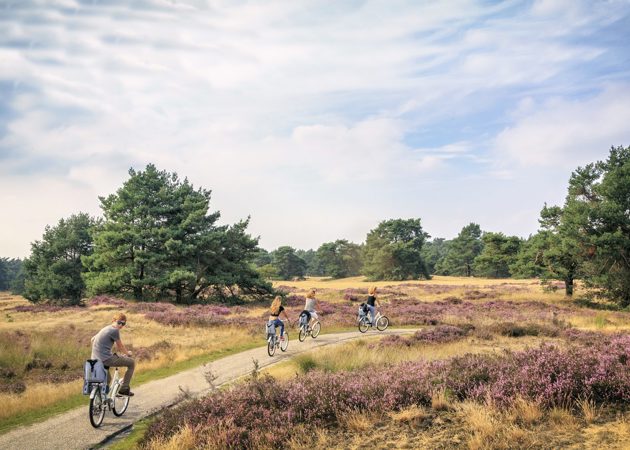 Weekendje Weg Veluwe