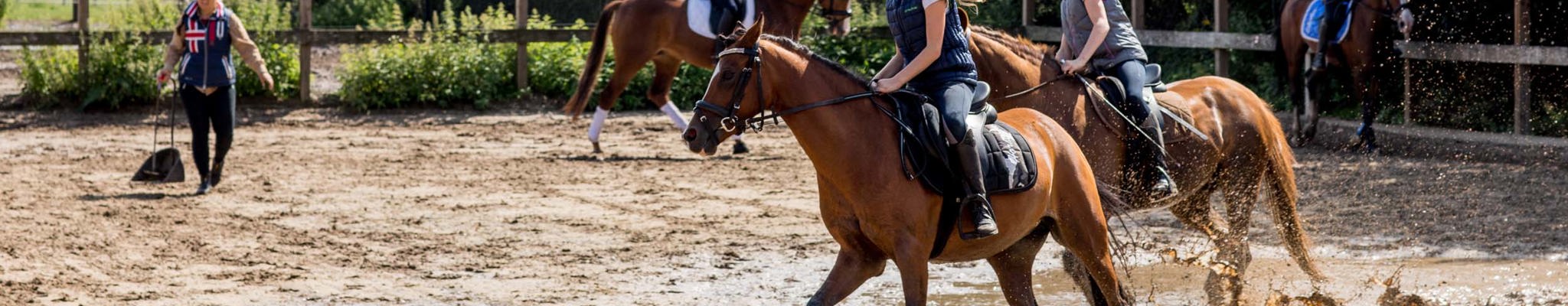   6x fantastic equestrian routes on the Veluwe